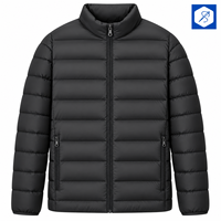 Veste matelassée noire pour homme, col montant, fermeture éclair, coupe-vent, manteau d'hiver décontracté, coupe régulière, extérieur en polyester