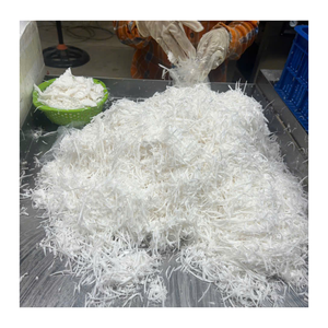 Fournisseur fiable de chair de noix de coco congelée de qualité supérieure en provenance du Vietnam pour les marchés de gros internationaux - Product Image 1