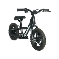 Vélo électrique léger populaire pour enfants, moteur sans balais 250/500W, batterie au lithium, freins à disque hydrauliques, cadre en alliage d'aluminium