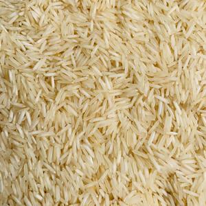Riz Basmati pur à grains longs de qualité supérieure en vente au prix de gros le plus bas, maintenant disponible en vrac à prix abordable - Product Image 1