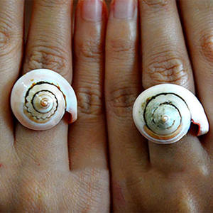 Natural <b>Ring</b> White Shell From Indonesia SEASHELL JEWELRY <b>Ring</b> shell <b>Motive</b> <b>ring</b> White Shell Size 5cm - Product Image 1