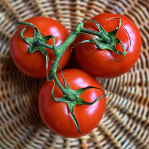 Tomates fraîches de qualité supérieure |   Tomates rouges naturelles pour la transformation alimentaire et le marché de gros – Meilleur prix en stock – Prix abordable - Product Image 1