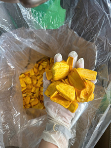 Chips de Jackfruit Séchées Premium du Vietnam, Processus AD, Goût Sucré, 500g par Paquet, Emballage Sous Vide, Snack Alimentaire - Product Image 1