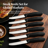 Hete Basis Keuken Steakmessenset 6 Stuks Plastic Handvat Roestvrijstalen Lemmet Steakmes Met Zwarte PP Handvat