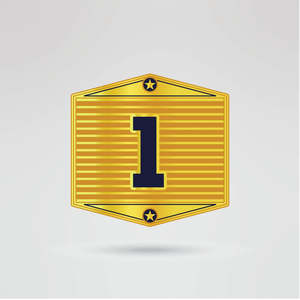 <b>Gold</b> Championship <b>Belt</b> with Custom Text & Logo Design Leather Material Four Side Plates-Martial Arts Title <b>Belt</b> - Product Image 3