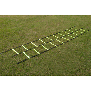Agility Ladder double - pro Training <b>Track</b> <b>Sled</b> Footwork Drill Equipment with Carry Bag for Soccer Field Practice - Product Image 1