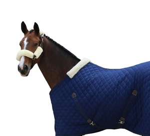 Cálida alfombra de invierno para caballos, manta polar, impermeable, a prueba de viento, estable, para montar, personalizable, cómoda, duradera, para caballos - Product Image 1