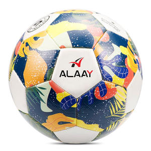 Balón de Fútbol Cosido a Máquina Talla 5, Económico y Personalizable - Product Image 1