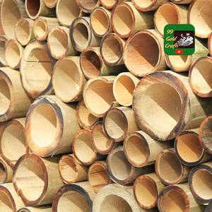 PRIX D'USINE : Poteaux en bambou naturel de haute qualité, cannes en bambou de grand diamètre pour la construction et l'aménagement paysager, vente en gros - Product Image 6