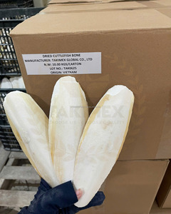 กระดูกซีเปียธรรมชาติสำหรับนกและสัตว์เลื้อยคลาน - Product Image 3