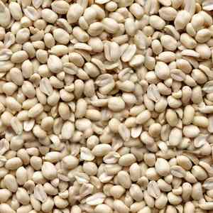 Urad Dal de qualité supérieure pour la préparation et la restauration de plats à grande échelle. L'Urad Dal garantit fraîcheur et saveur pour chaque plat. - Product Image 5