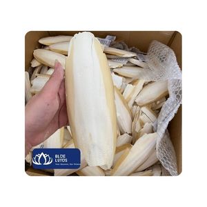Hueso de Sepia Natural Entero, el Más Vendido, para Suministros de Jaulas de Pájaros y Alimentación Diaria de Mascotas, Tamaños de 3-15 cm, Vietnam - Product Image 1