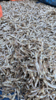 Anchois séchés |   Morceaux entiers faibles en sel |   Poisson séché du Vietnam |   Emballage en vrac |   Fabricant, vente en gros, export