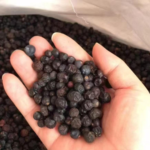 Natural Fragrant Bulk Wholesale 2026 New Season Premium Quality Natural Dried Juniper Berries Organic Supply Private Label - Product Image 3