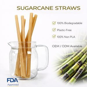 Pajitas de Caña de Azúcar al Mejor Precio, Pajitas Desechables Compostables Populares para Bebidas - Product Image 1