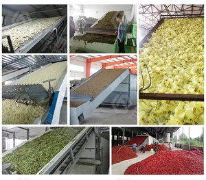 Máquina secadora de cinta de bagazo de caña de azúcar Máquina de secado de residuos de piña - Product Image 3