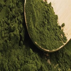 Poudre de spiruline indienne toutes saisons, qualité cosmétique, récolt sauvage, FitTree International pour les distributeurs mondiaux, superaliment vert - Product Image 4
