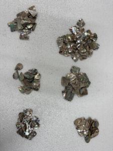 เปลือกหอยเป๋าฮื้อขัดเงาธรรมชาติ |   เปลือกหอยเปาอ่าสีรุ้งสำหรับงานสมัดจิ้งจอก งานเครื่องประดับ และของตกแต่งบ้าน - Product Image 4