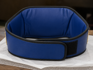 Ceinture de championnat de boxe personnalisée AFI en alliage plaqué or bleu, moulée en une seule pièce, réglable, pour la classe junior 40,0 kg, titre d'arts martiaux - Product Image 6