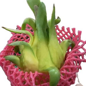 Vietnam Fresh Tropical Fruit - Red & Yellow Dragon Fruits Good Taste Good Quality (Contact Felicia Nguyen at WS: +84339249239 )