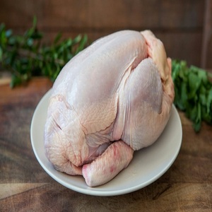 Délicieux poulet surgelé à vendre, qualité supérieure et excellent prix de gros, idéal pour les magasins de détail, les restaurants et la restauration. - Product Image 4