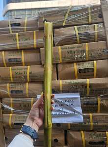 Palitos de Caña de Azúcar Congelados IQF de Primera Calidad, Grado Alimenticio, Vietnam - Product Image 2