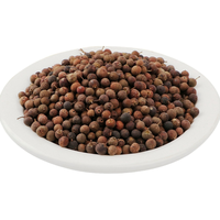 Poudre de graines d'embélia de qualité alimentaire, Patil Foods, fabricant indien, toutes saisons