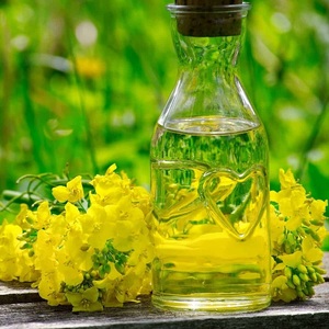 Proveedor Mayorista de Aceite de Canola Orgánico para Exportación a Granel, Aceite Fraccionado Reprocessado de Alta Pureza para Cadenas de Minoristas - Product Image 4