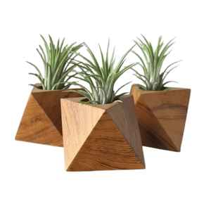 Juego de Macetas Modernas Decorativas de Plástico para Interiores, con Drenaje, Ligeras, para Jardín y Decoración del Hogar - Product Image 6