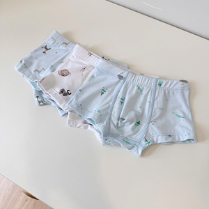 SeunKids - Braguitas de Bambú para Niños al por Mayor, Ropa Interior Transpirable y Suave para Niños, Proveedor de Vietnam - Product Image 2