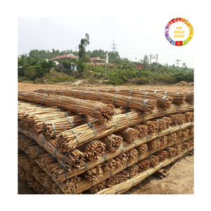 Raw Rattan <b>Poles</b> | Vietnam Export Manau Cane Bulk <b>for</b> Outdoor Furniture & <b>Garden</b> Use - Product Image 4