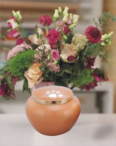 ชุดการฌาปนกิจของสัตว์เลี้ยงทองเหลืองสไตล์อเมริกันโกศสำหรับใส่เถ้ากระดูกของสัตว์เลี้ยงมีเอกลักษณ์ - Product Image 2