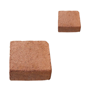 Coco peat de primera calidad para germinación de plantas, mejora el suelo, apto para todo tipo de plantas, utilizado para el cultivo y el crecimiento saludable de raíces. - Product Image 1