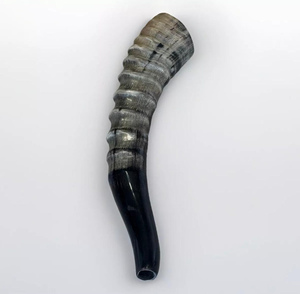 Shofar artisanal AZ ENTERPRISES AZE-RH02 en corne de bélier naturelle de haute qualité, matériau brut non poli pour usage traditionnel - Product Image 3