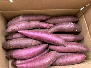 Productos de Alta Calidad: Espinaca Verde Japonesa, Rábano, Repollo, Batatas Frescas - Product Image 3