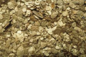 Pépites et lingots d'or 24 carats, pureté 98%, approvisionnement direct, vente en gros, qualité investissement, livraison rapide et sécurisée dans le monde entier - Product Image 6