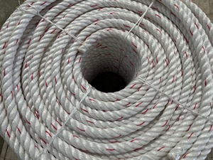 Cuerda de Polipropileno (PP) Trenzada de 4 Hilos, Danline, para Embalaje Marino, Resistente a los Rayos UV, Diámetro Personalizable de 3-30 mm, Longitud de 0-1000 m - Product Image 3