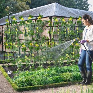 Traliccio a telaio ad A per cetrioli da giardino con rete, recinzione e cancello per piante rampicanti da esterno - Product Image 3