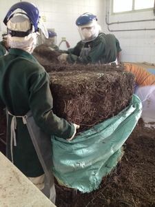 Fabricant de poudre de gelée d'herbe du Vietnam, poudre d'herbes naturelles de haute qualité pour les boissons et les desserts - Product Image 6