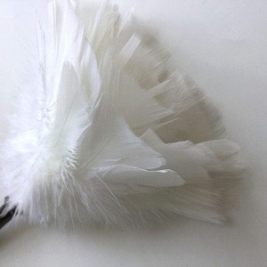 Plumeau en Plumes d'Autruche Premium – Outil de Nettoyage Sûr et Brosse Douce pour l'Élimination de la Poussière, Idéal pour la Maison, le Bureau et la Protection des Équipements - Product Image 6