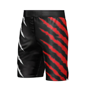 Shorts en satin personnalisés pour femmes, hommes et jeunes - Sublimation pour boxe, grappling, Jiu Jitsu, BJJ, combat, MMA - Motif uni, shorts MMA vierges - Product Image 3
