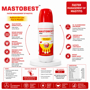 อาหารเสริมเหลวสำหรับสัตว์มาสโตเบสท์ สำหรับการจัดการโรคอักเสบที่เต้านม วิตามินและแร่ธาตุเพื่อส่งเสริมสุขภาพเต้านม |   สำหรับวัวควาย | - Product Image 4