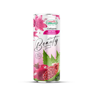 Bebida de Colágeno Premium para la Belleza, 250 ml, Jugo de Granada y Aloe Vera, Venta al por Mayor para Distribuidores de Bienestar, Suministro a Granel - Product Image 2
