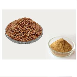 Extracto de Gramínea de Alta Pureza en Polvo, Mijo Indio Natural, 12-18 Meses de Vida Útil, Utilizado en Procesamiento de Alimentos, Nutricional e Industrial - Product Image 1