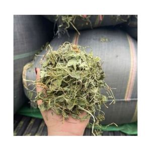 ELDERLY FAVORITE DRIED PENNY WORT <b>TEA</b> HERBS VIETNAM BEST SELLING SLIM AND SKIN BOOST CENTELLA ASIATICA LEAVES WHOLESALE GLOBALLY - Product Image 1