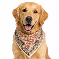 Bandana personnalisée de haute qualité en coton biologique doux, respirant, écologique et durable pour chiots et chatons
