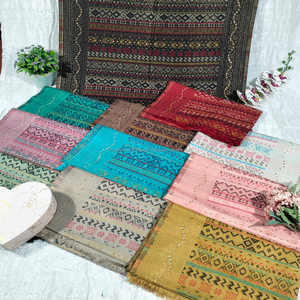 Winter 100% Pure Pashmina <b>Shawl</b> Neck Warmer Women <b>Shawl</b> With Tassel Pashmina <b>Shawl</b> in Multi Colour - Product Image 1