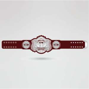 Cinturón de Campeonato de Lucha Libre Personalizado de Latón y Zinc con Correa Color Granate, Cuatro Placas Laterales de Metal Plateado y Placa Central Dorada - Product Image 2