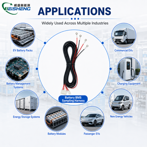 Harness Kabel Pemantau Baterai Kustom BMS Pengumpul Tegangan Terminal Cincin OEM - Product Image 2