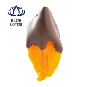 BEST SELLER - Mangues séchées sucrées tendance et durables, enrobées de chocolat, en forme de snack - Product Image 1